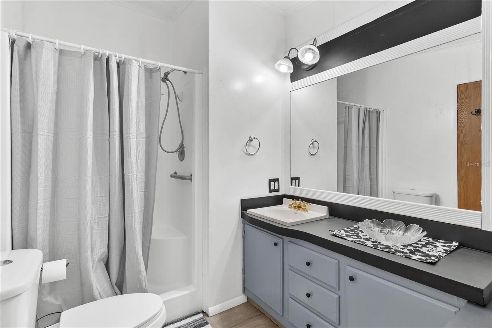 18770 SE 19TH PL, SILVER SPRINGS, FL, 34488