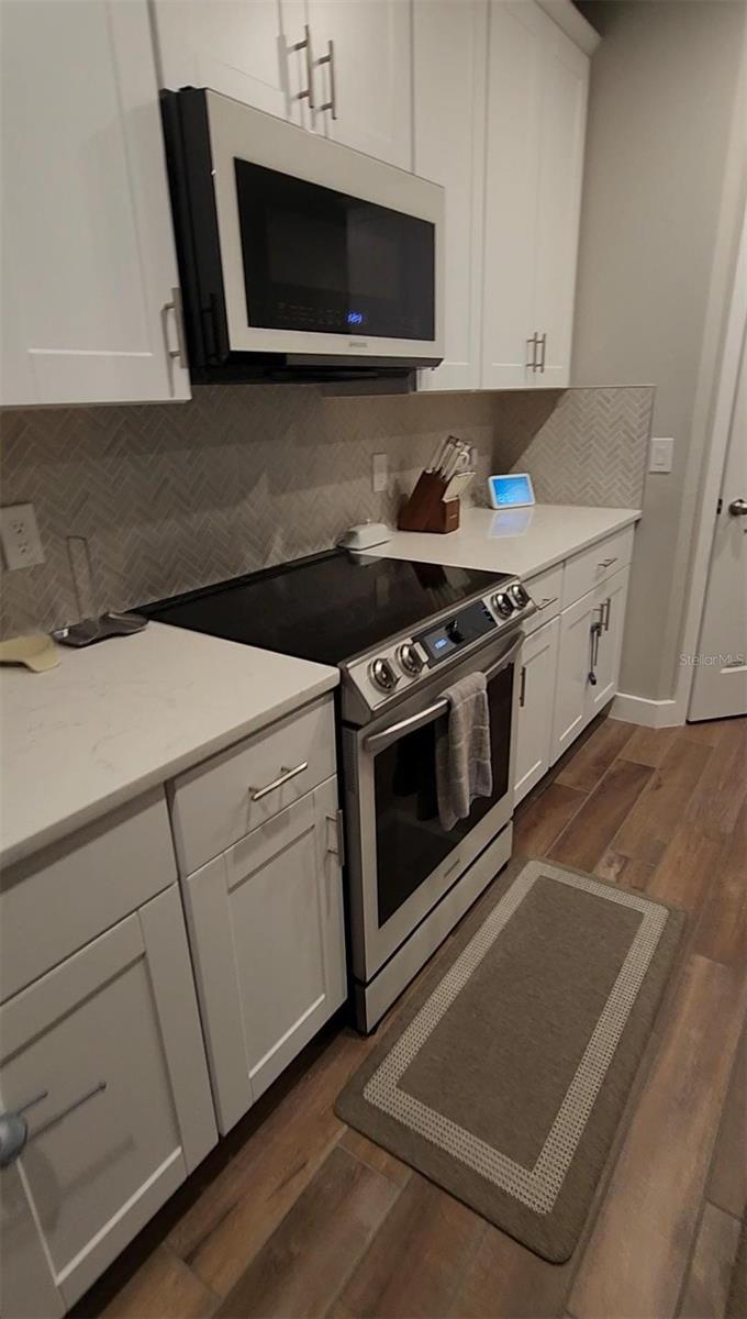 17301 BACK BAY CT, CLERMONT, FL, 34714