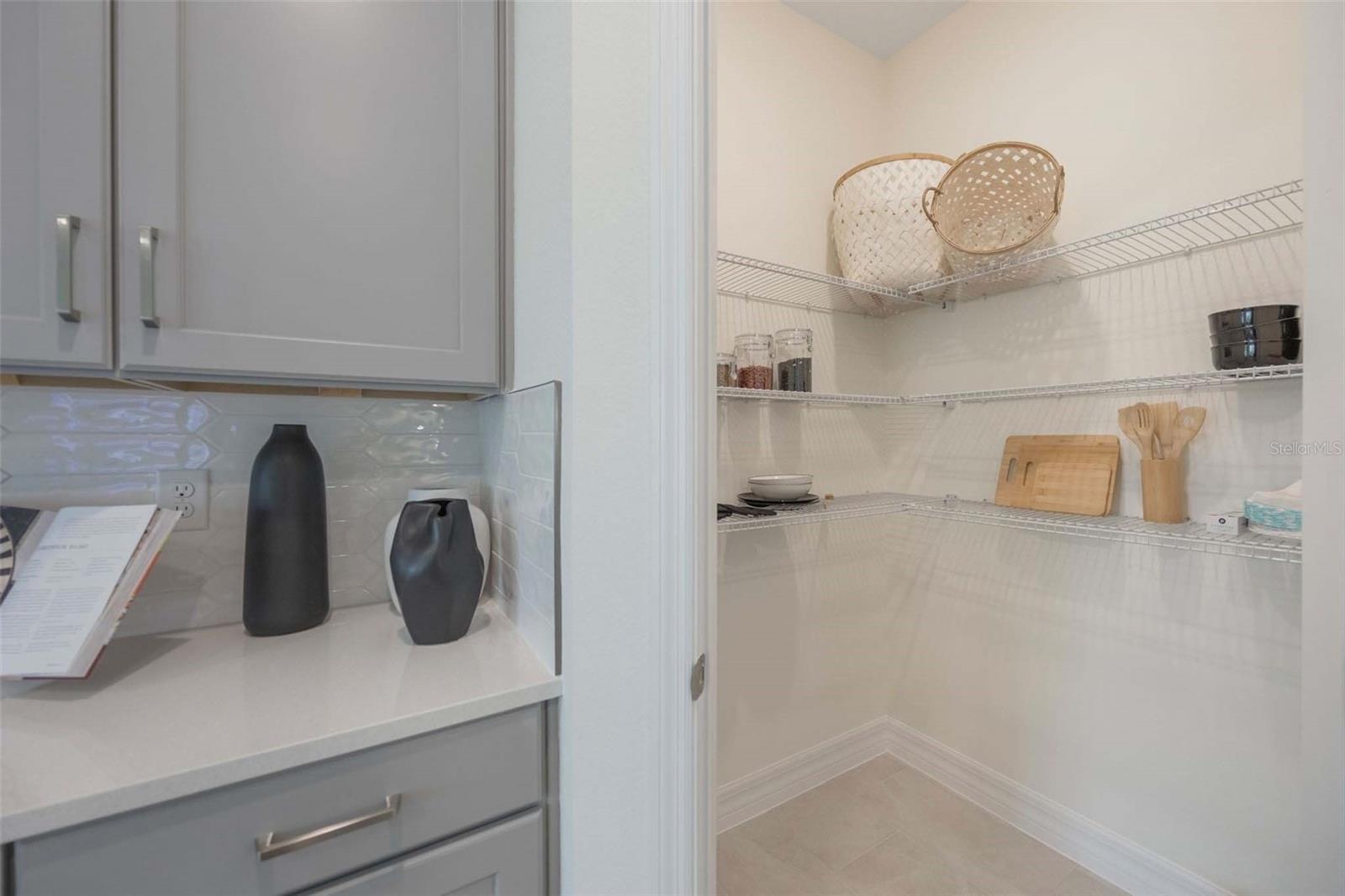 3952 KENNEBUNK LOOP, MOUNT DORA, FL, 32757