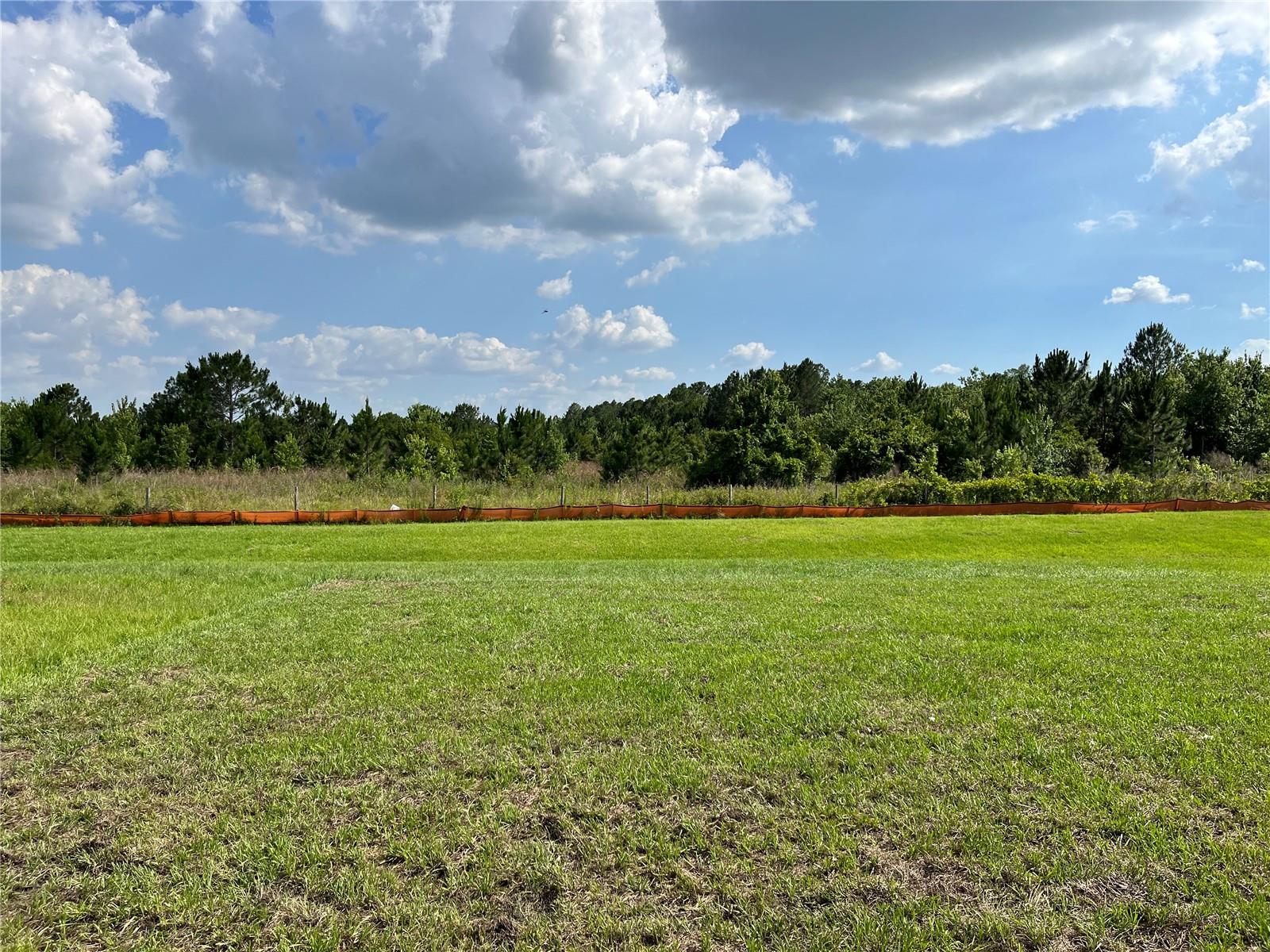 1487 FOX SQUIRREL DR, DAVENPORT, FL, 33897