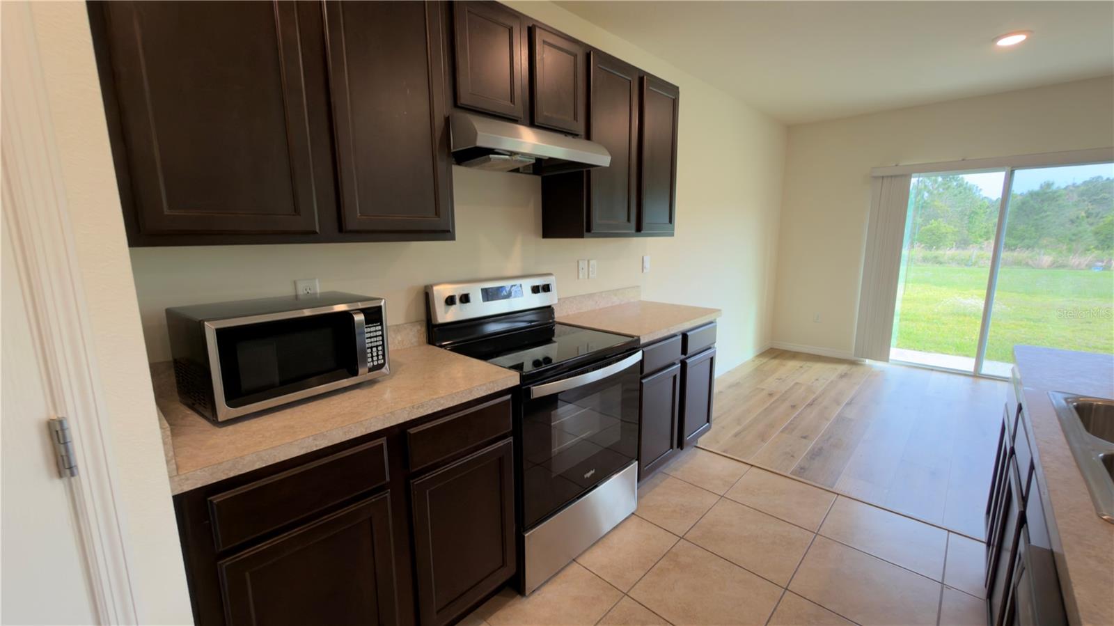 1487 FOX SQUIRREL DR, DAVENPORT, FL, 33897