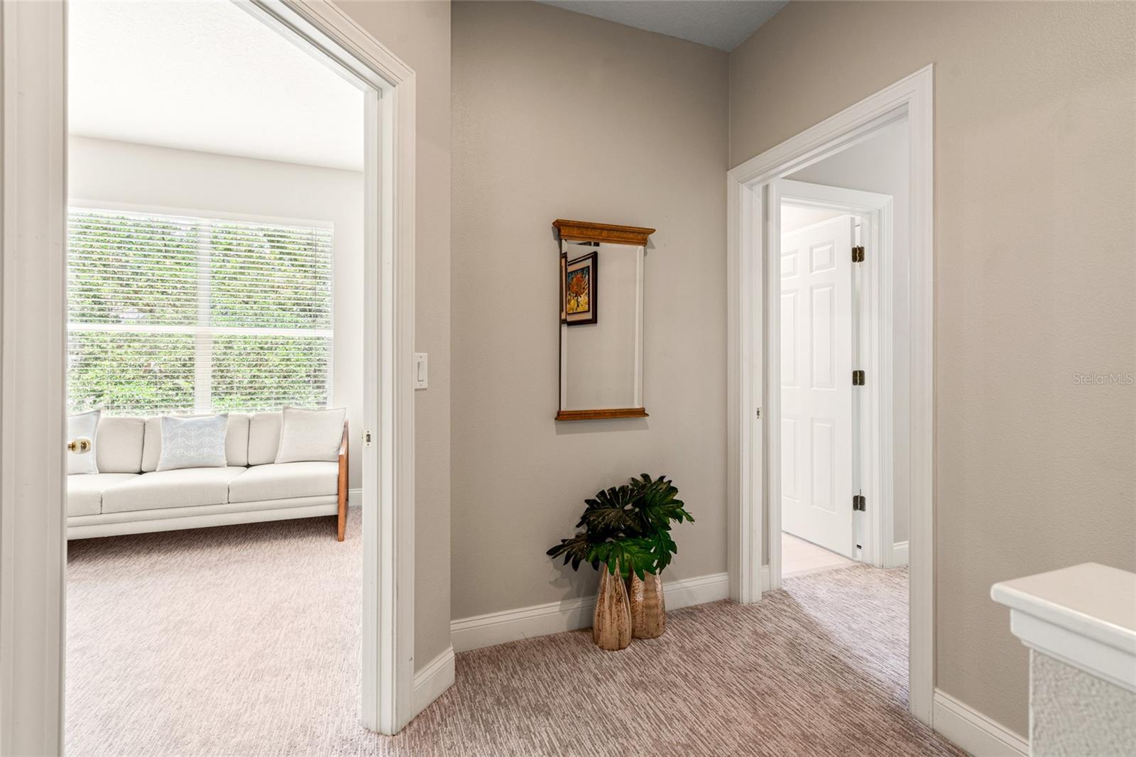 3519 HEARDS FERRY DR, TAMPA, FL, 33618