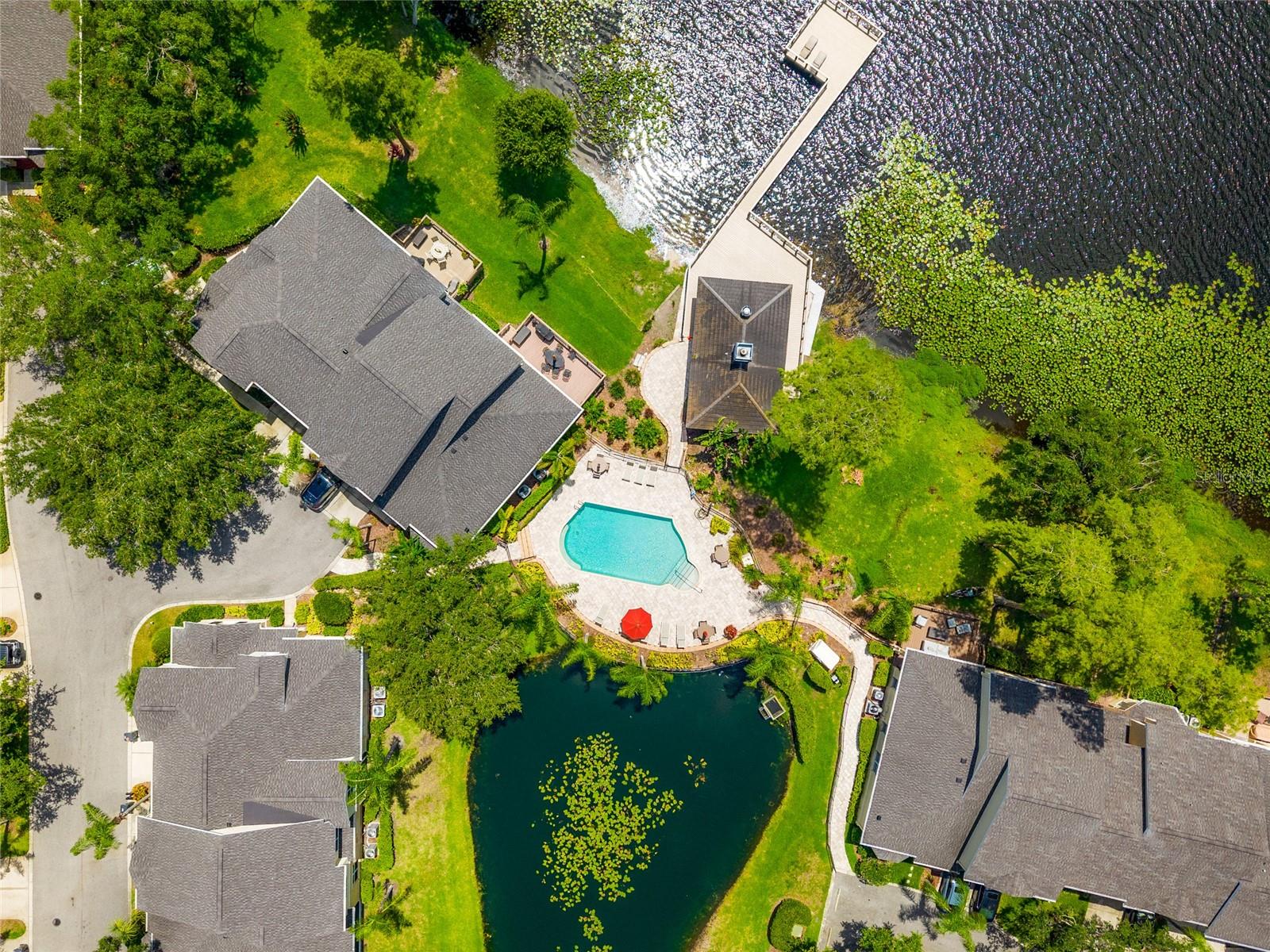 3519 HEARDS FERRY DR, TAMPA, FL, 33618