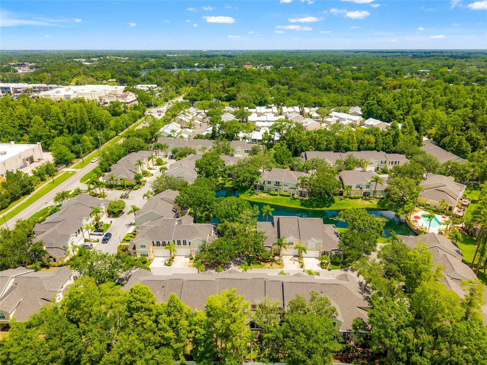 3519 HEARDS FERRY DR, TAMPA, FL, 33618