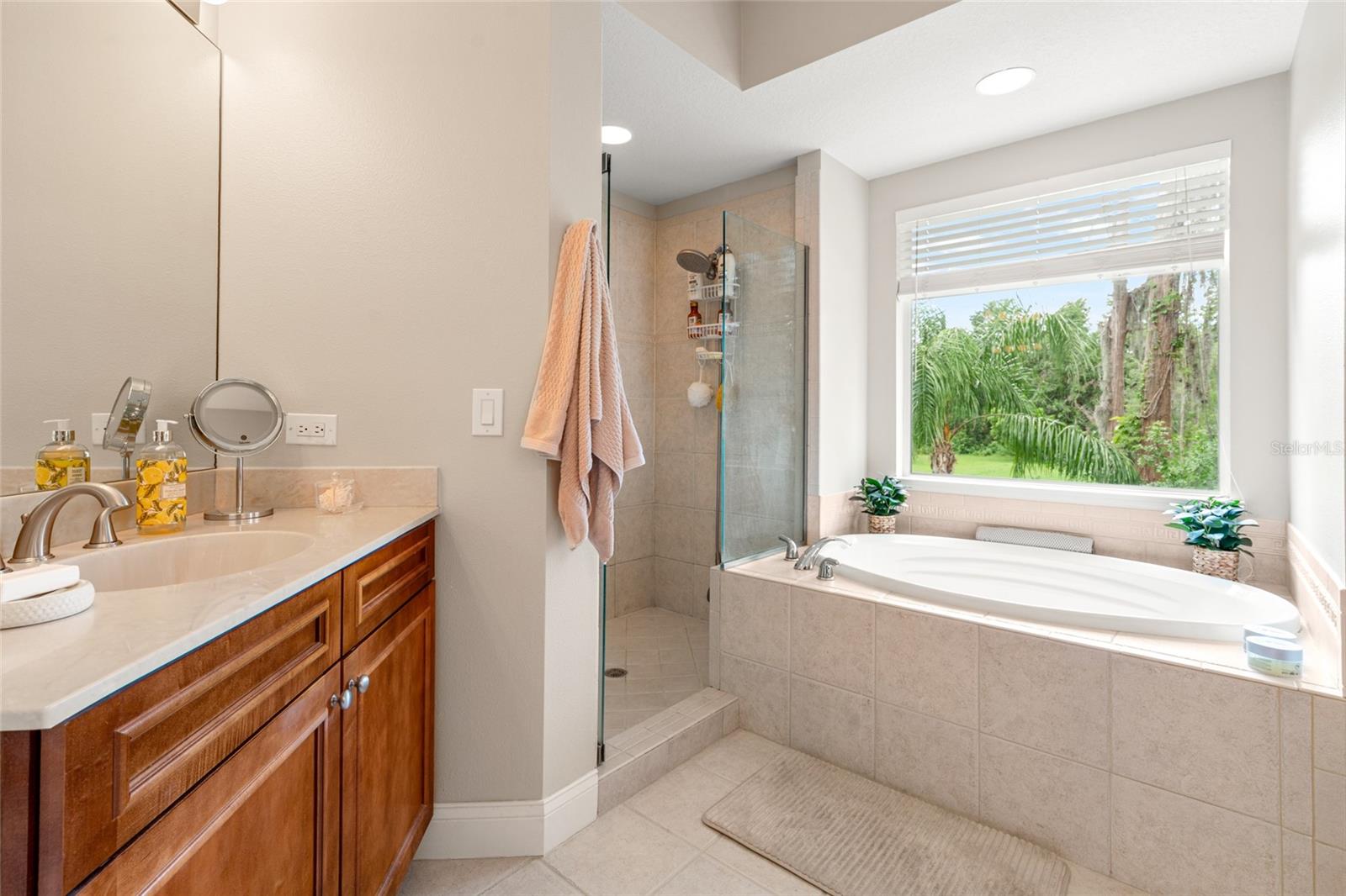 3519 HEARDS FERRY DR, TAMPA, FL, 33618