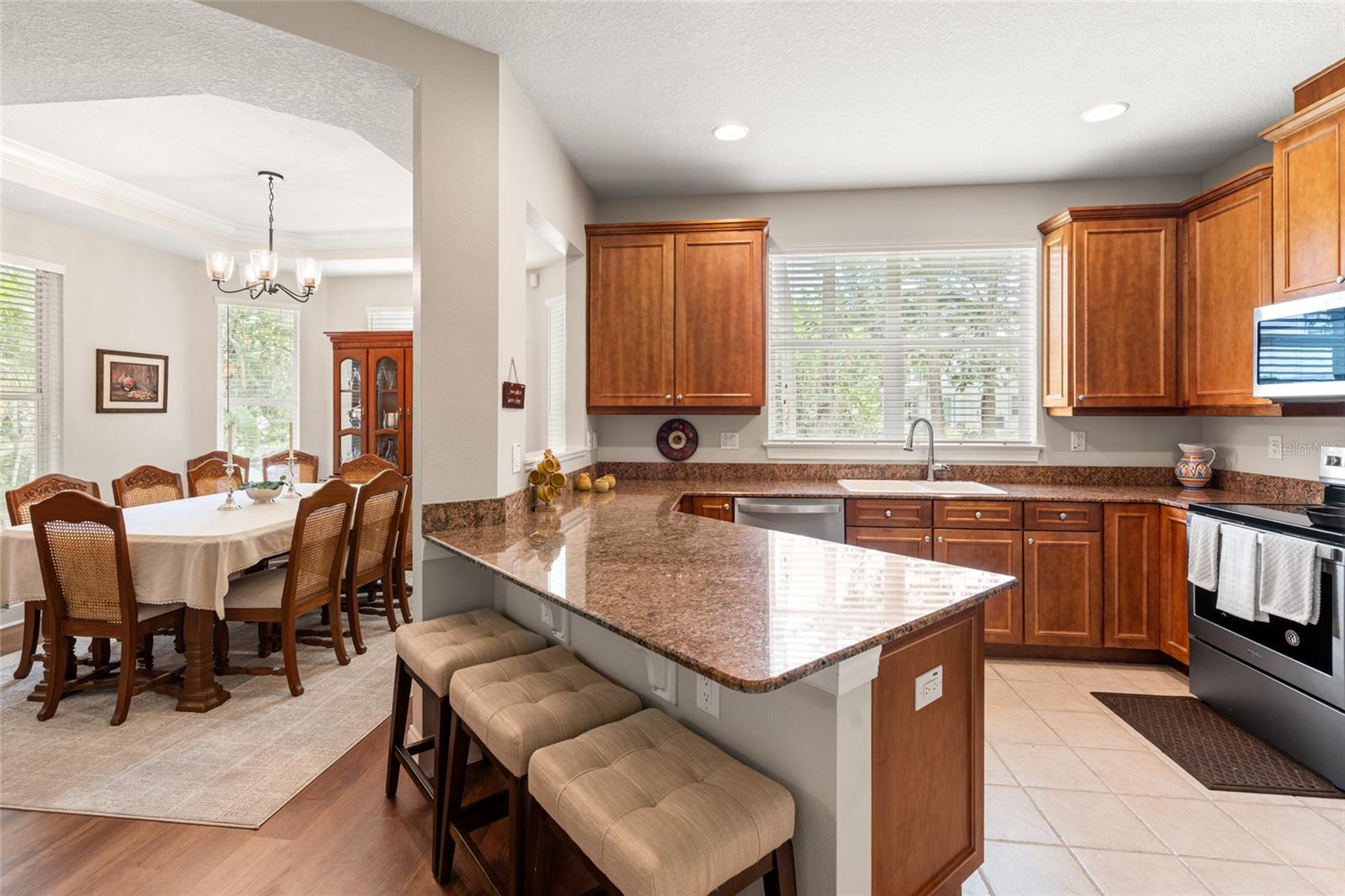 3519 HEARDS FERRY DR, TAMPA, FL, 33618