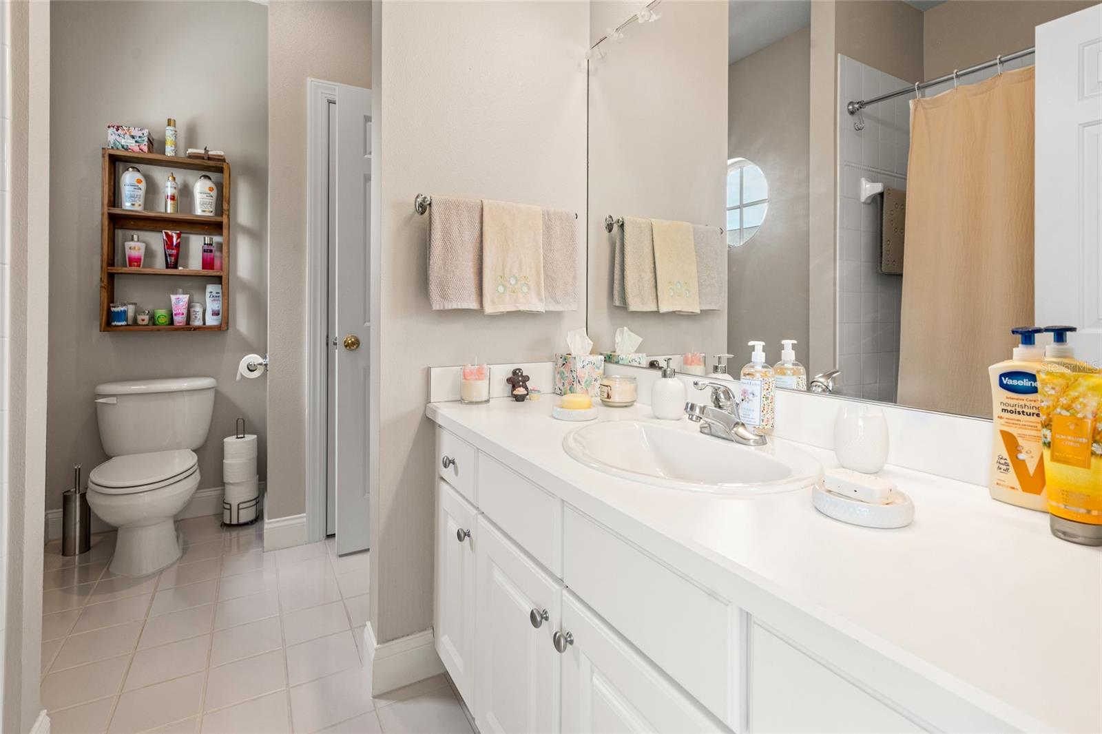 3519 HEARDS FERRY DR, TAMPA, FL, 33618