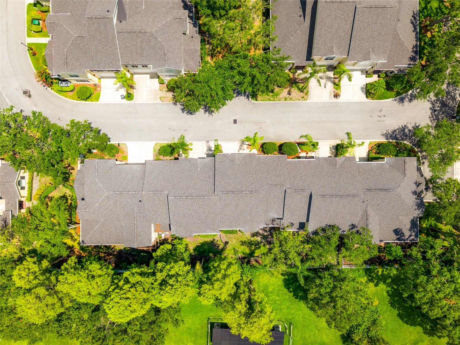 3519 HEARDS FERRY DR, TAMPA, FL, 33618