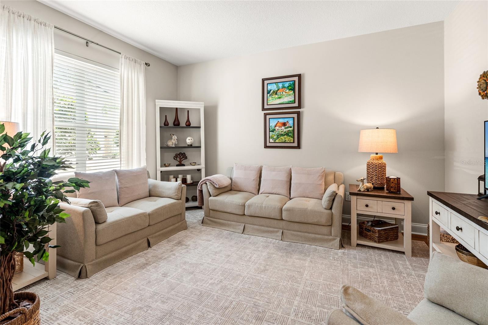 3519 HEARDS FERRY DR, TAMPA, FL, 33618