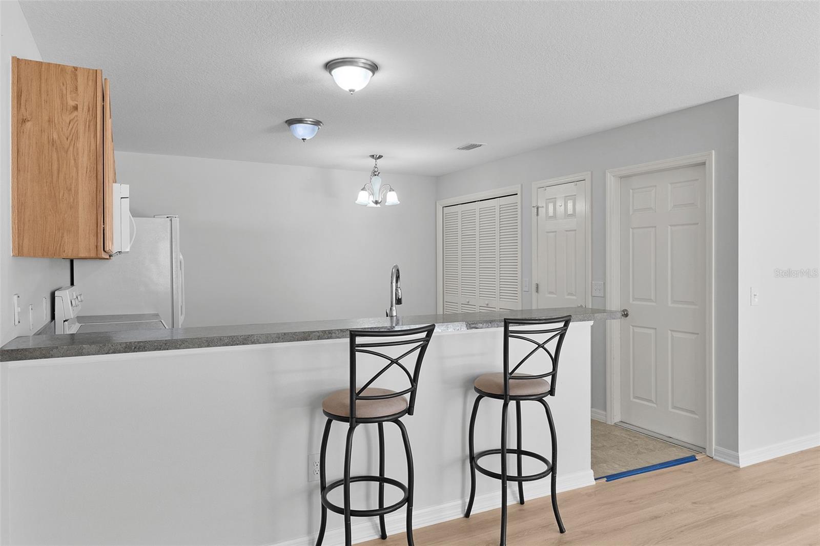 3401 CARRABELLE CT, THE VILLAGES, FL, 32163