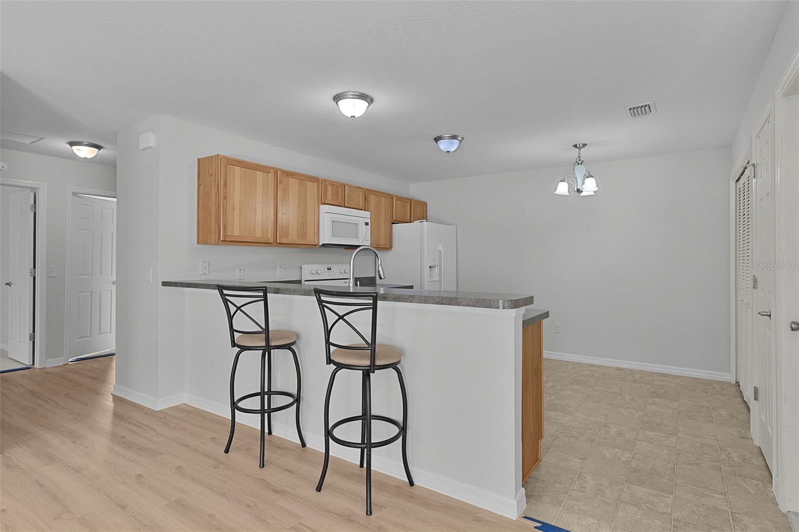 3401 CARRABELLE CT, THE VILLAGES, FL, 32163