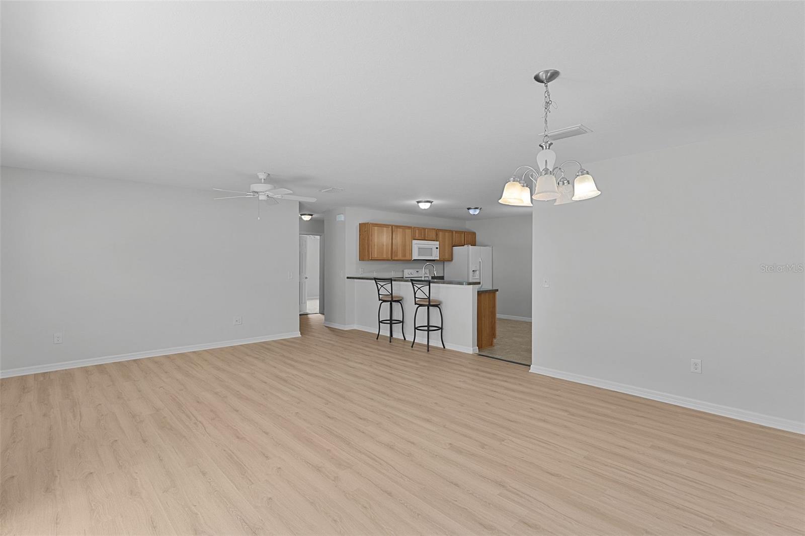 3401 CARRABELLE CT, THE VILLAGES, FL, 32163