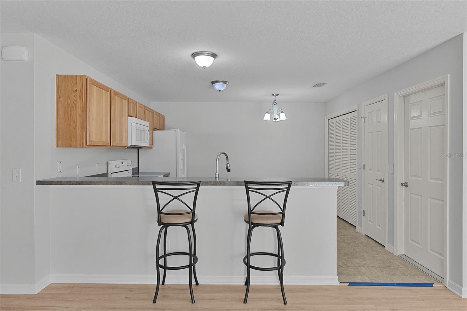 3401 CARRABELLE CT, THE VILLAGES, FL, 32163