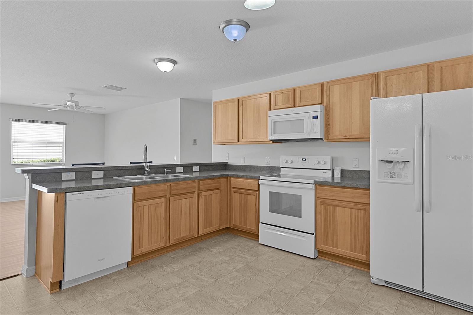 3401 CARRABELLE CT, THE VILLAGES, FL, 32163