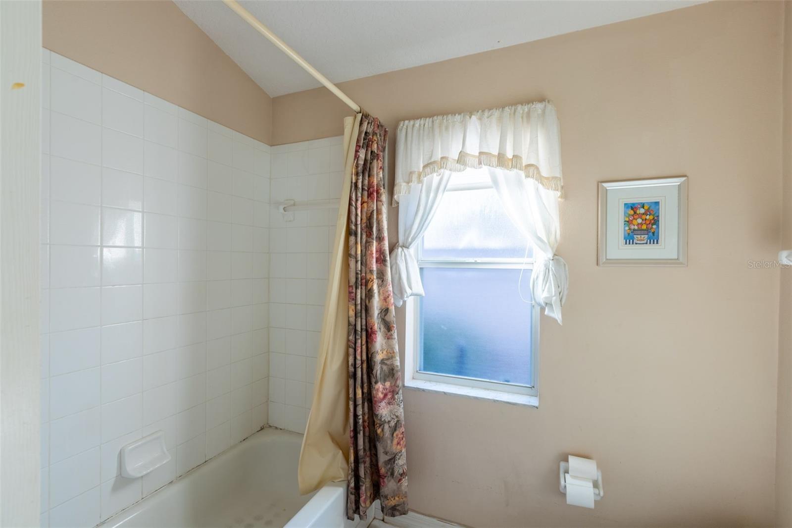 497 PICKFAIR TER, LAKE MARY, FL, 32746