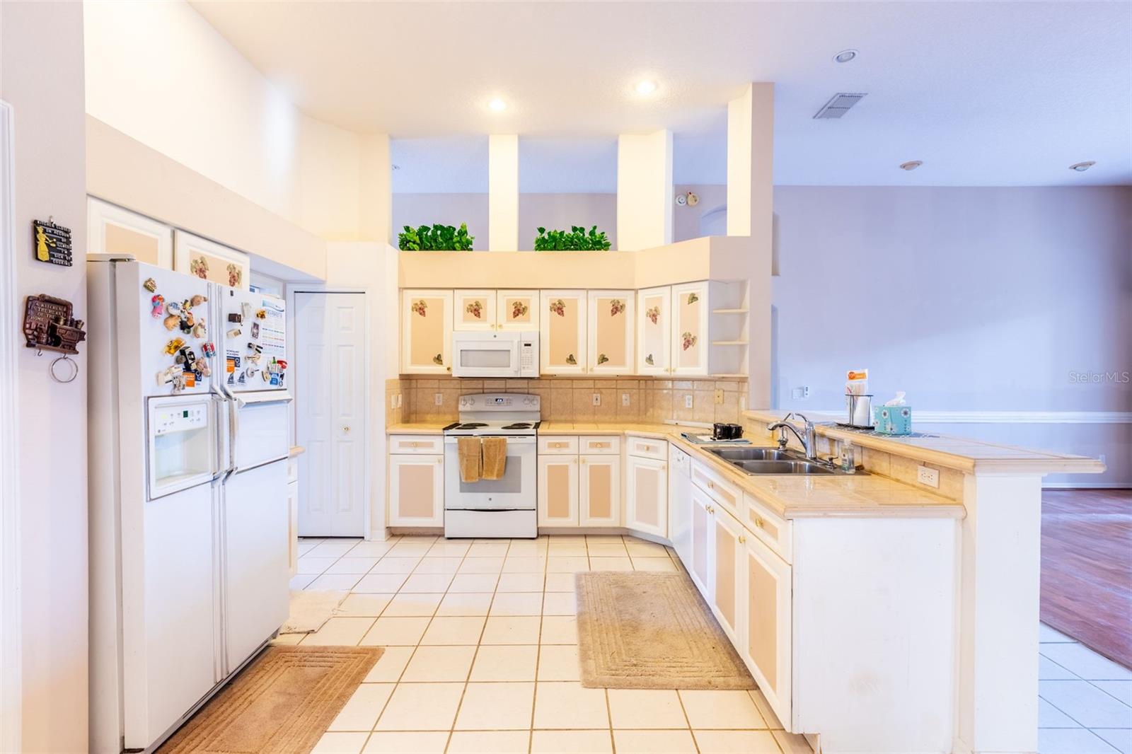 497 PICKFAIR TER, LAKE MARY, FL, 32746