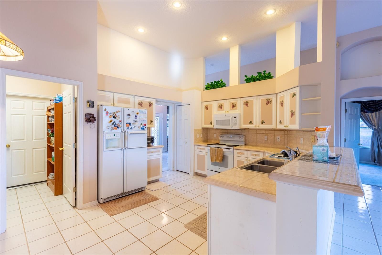 497 PICKFAIR TER, LAKE MARY, FL, 32746