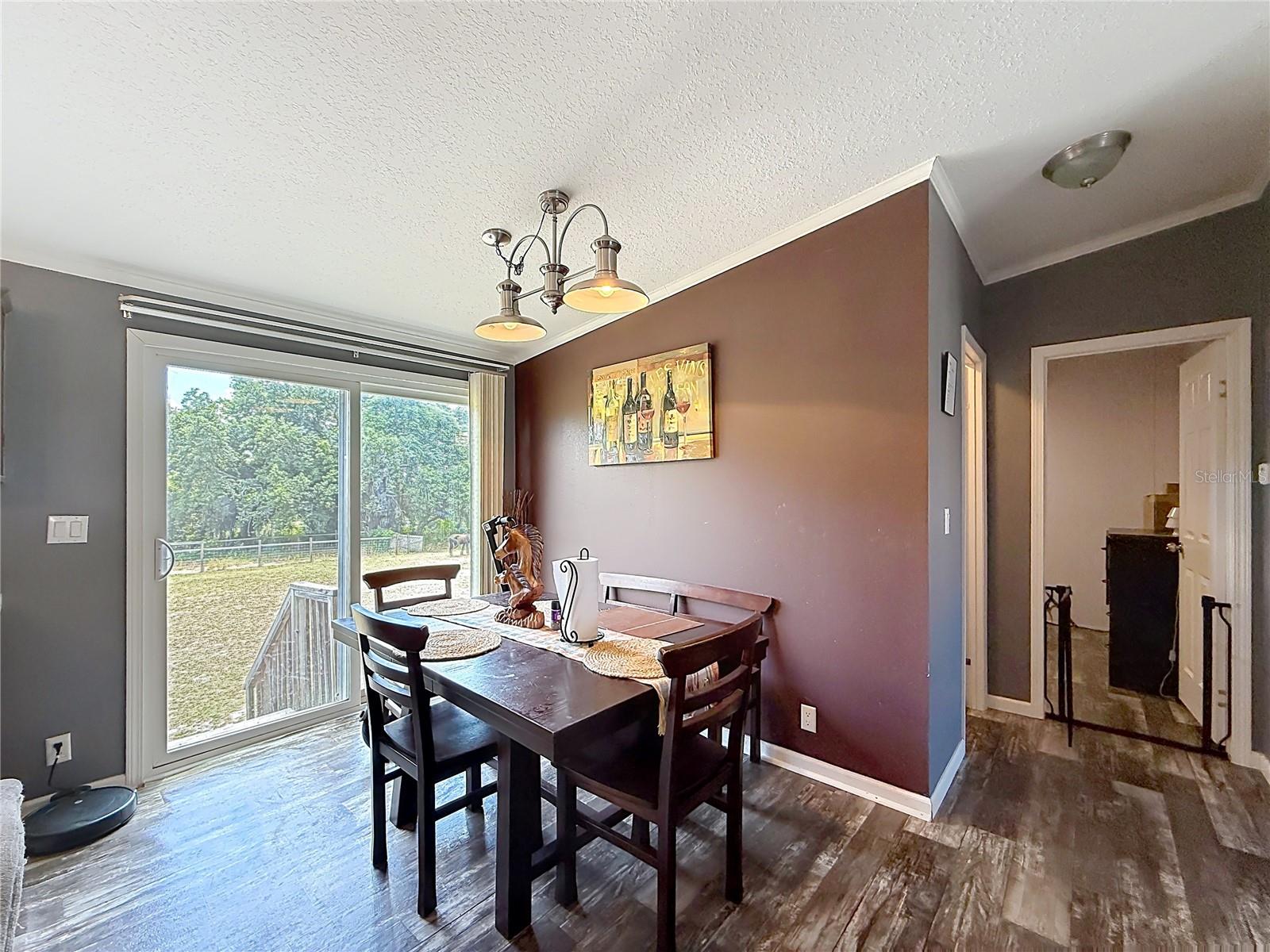 8108 SERGEANT PEPPER DR, HOWEY IN THE HILLS, FL, 34737