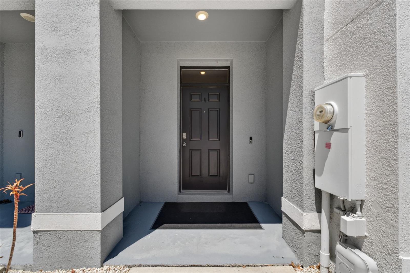 33105 MAJOR OAK DR, WESLEY CHAPEL, FL, 33545