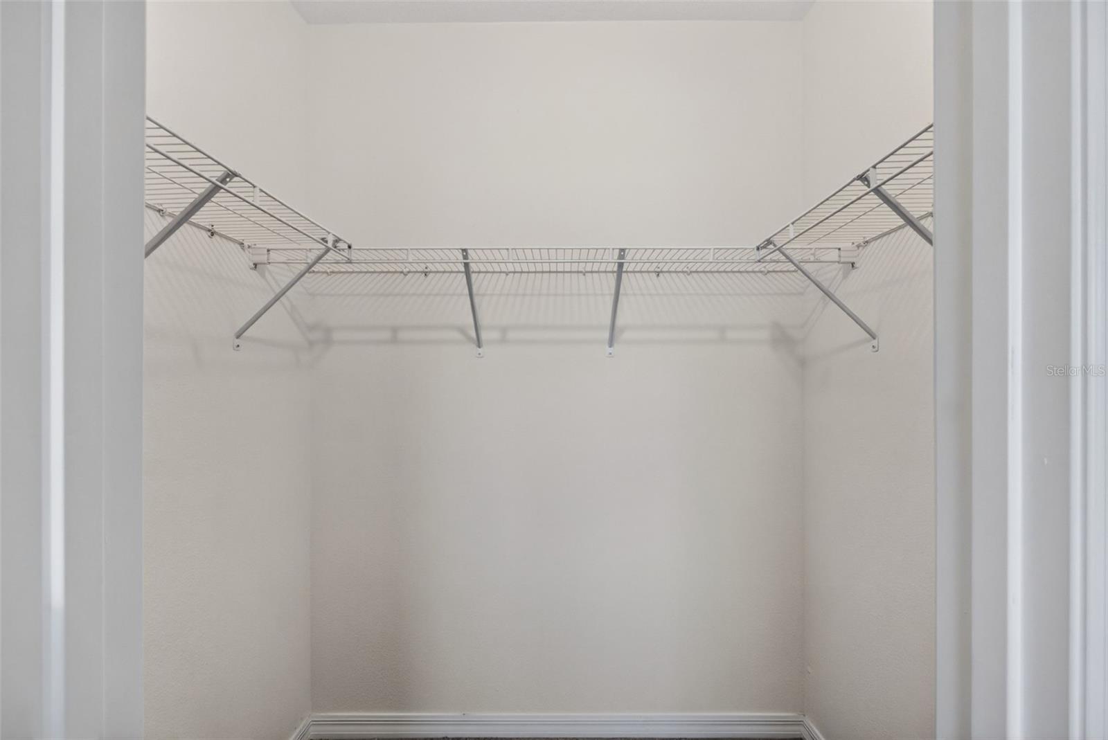 33105 MAJOR OAK DR, WESLEY CHAPEL, FL, 33545