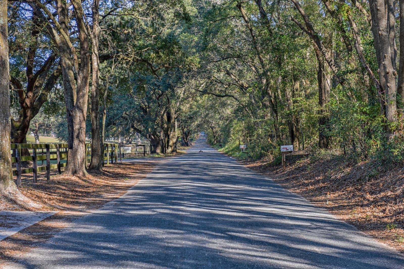 9690 NW 30TH AVE, OCALA, FL, 34475