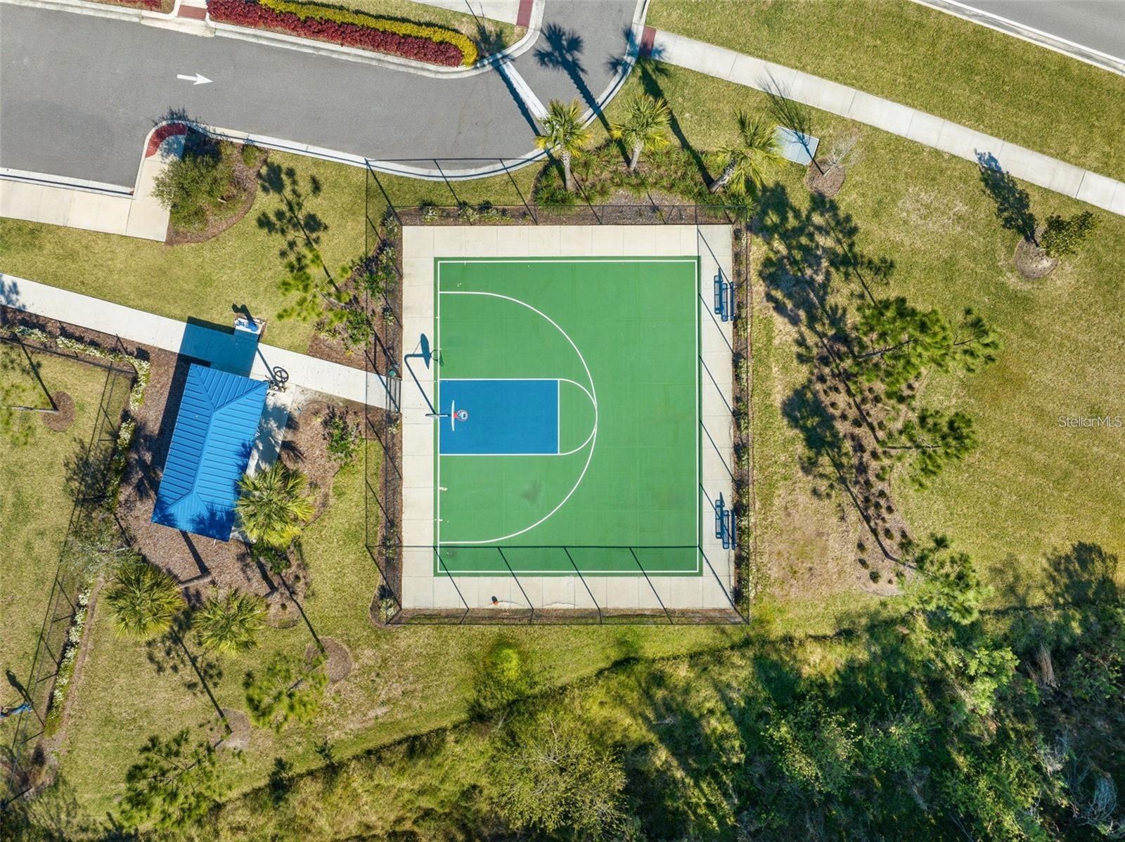 2928 BELUGA BAY DR, ODESSA, FL, 33556