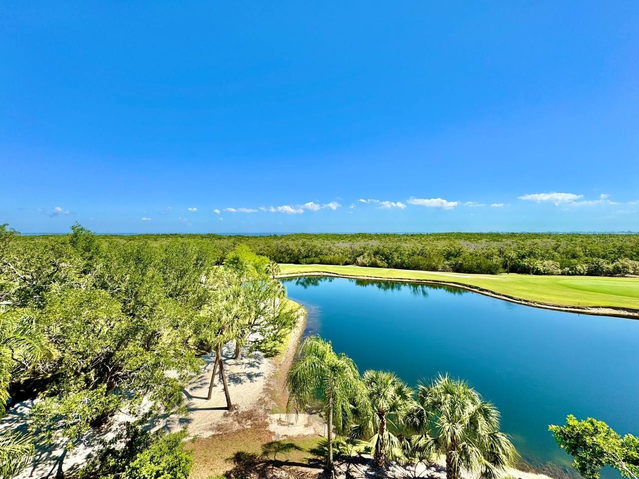 2333 FEATHER SOUND DR #B503, CLEARWATER, FL, 33762