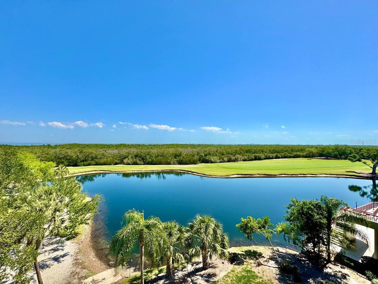 2333 FEATHER SOUND DR #B503, CLEARWATER, FL, 33762