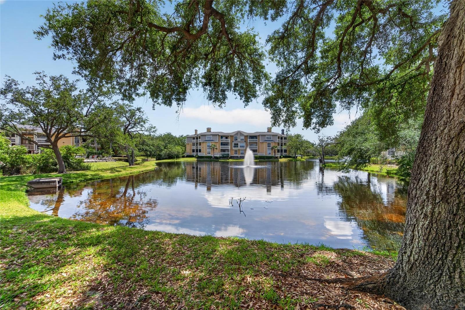 115 112TH AVE NE #406, ST PETERSBURG, FL, 33716