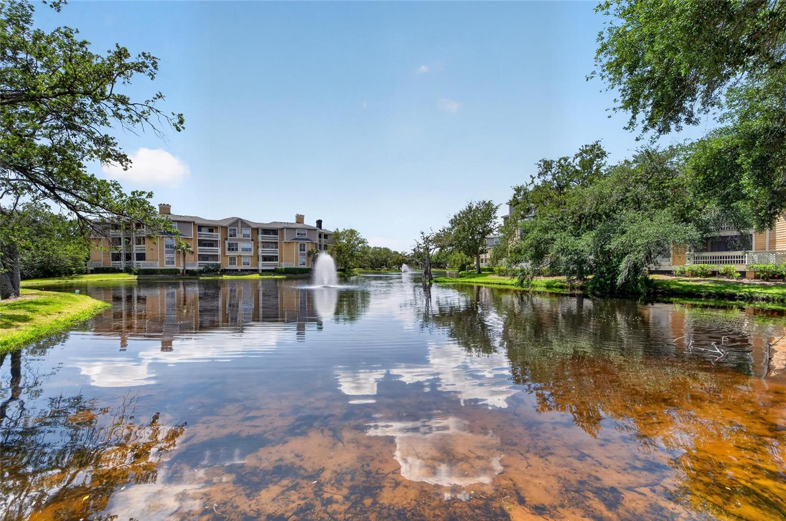 115 112TH AVE NE #406, ST PETERSBURG, FL, 33716