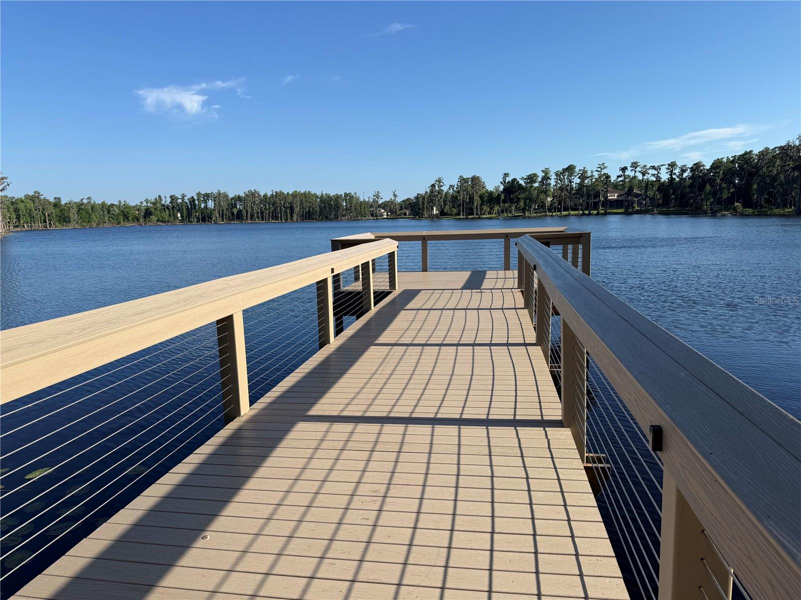 1306 MERRY WATER DR, LUTZ, FL, 33548