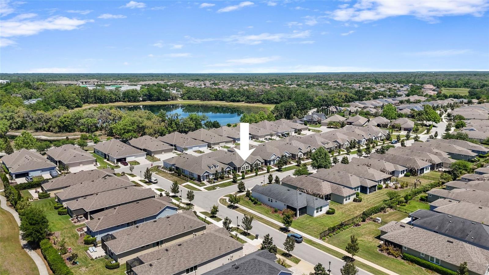 13890 KINGFISHER GLEN DR, LITHIA, FL, 33547