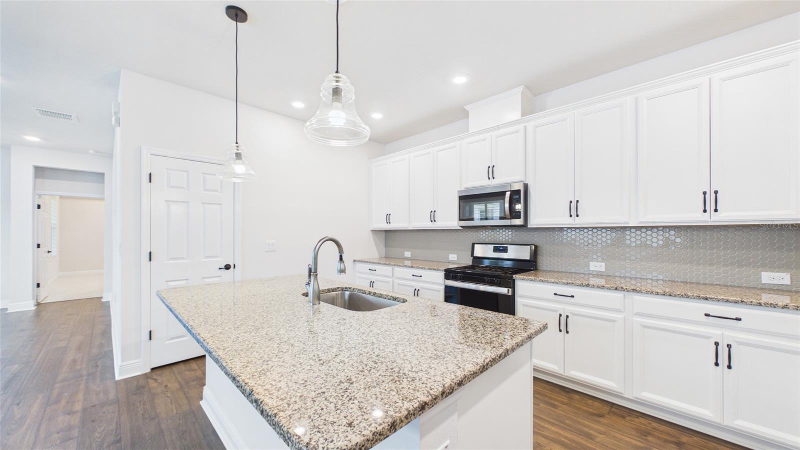 13890 KINGFISHER GLEN DR, LITHIA, FL, 33547