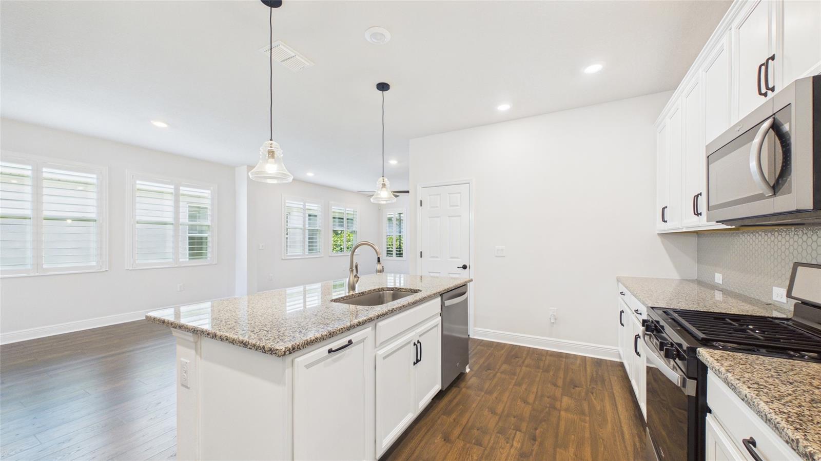 13890 KINGFISHER GLEN DR, LITHIA, FL, 33547