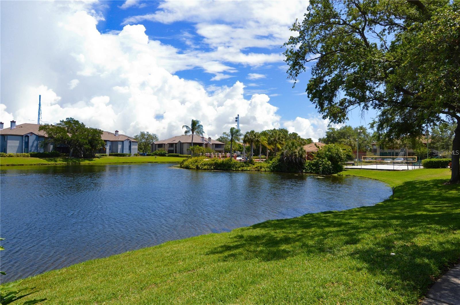 10265 GANDY BLVD N #1511, ST PETERSBURG, FL, 33702