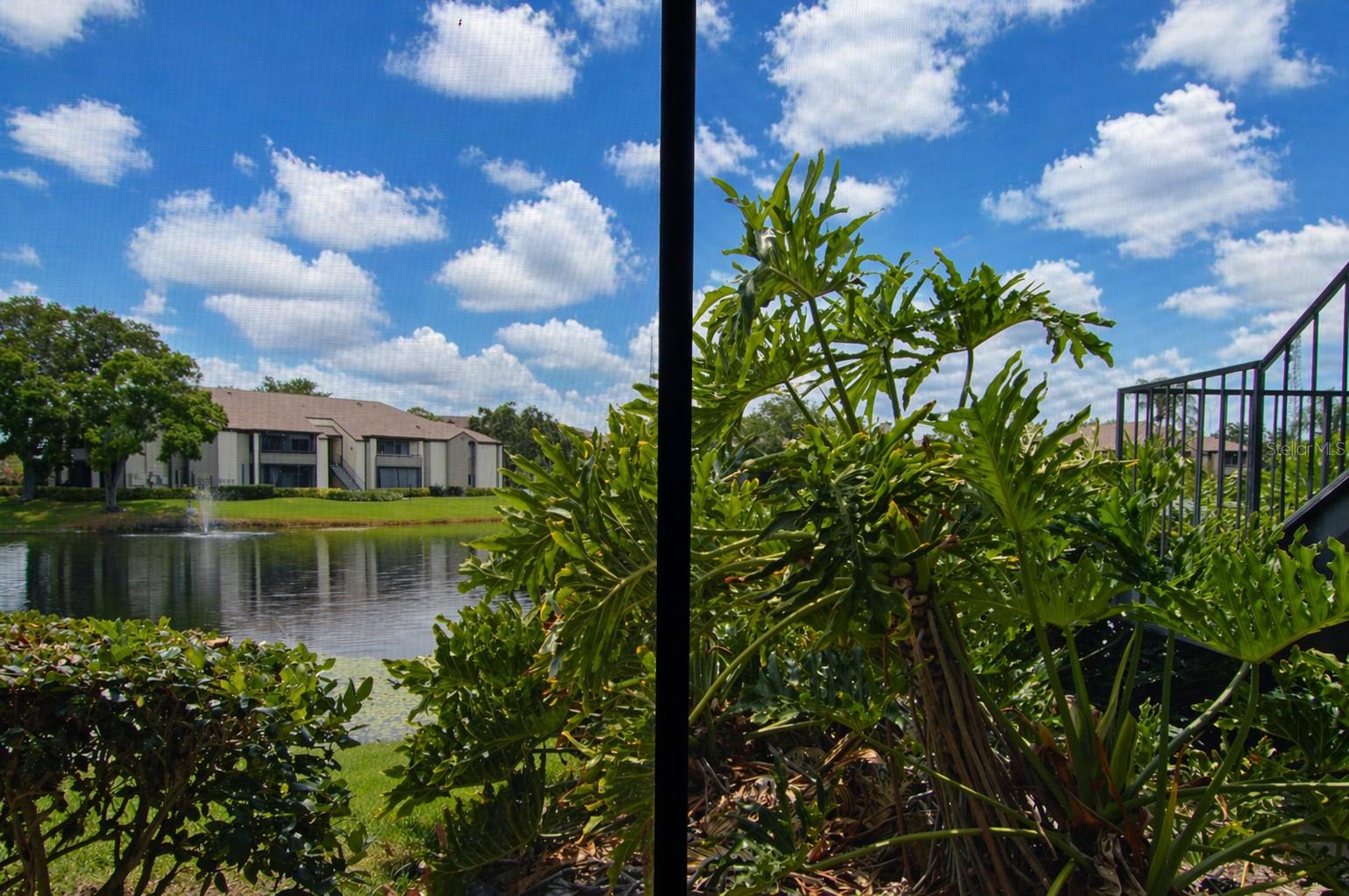 10265 GANDY BLVD N #1511, ST PETERSBURG, FL, 33702