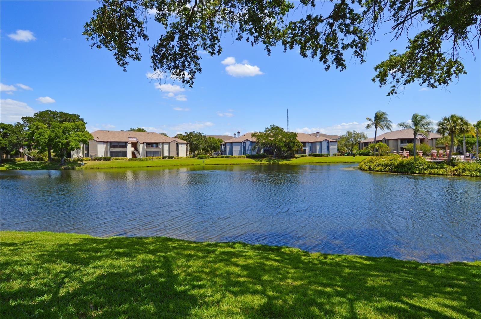 10265 GANDY BLVD N #1511, ST PETERSBURG, FL, 33702