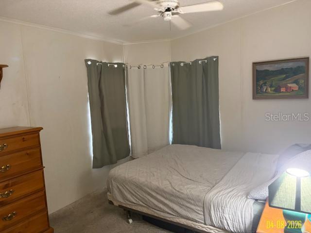 8034 MONITOR DR, NEW PORT RICHEY, FL, 34653