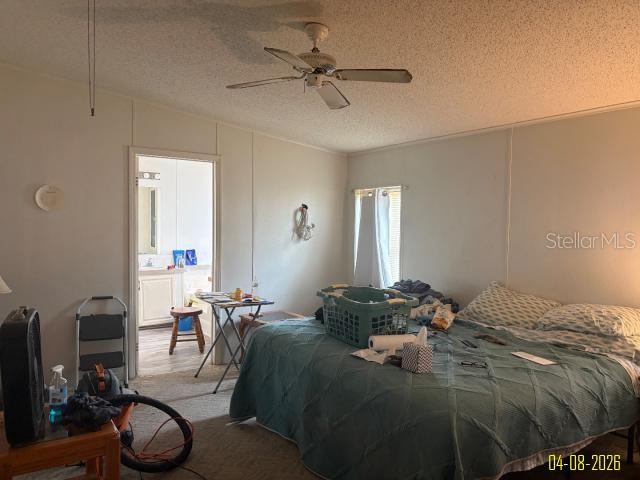 8034 MONITOR DR, NEW PORT RICHEY, FL, 34653