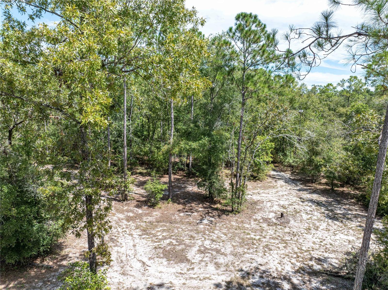 11160 NW 5TH AVE, BRANFORD, FL, 32008