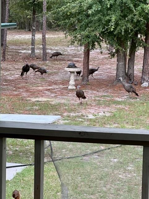 11160 NW 5TH AVE, BRANFORD, FL, 32008