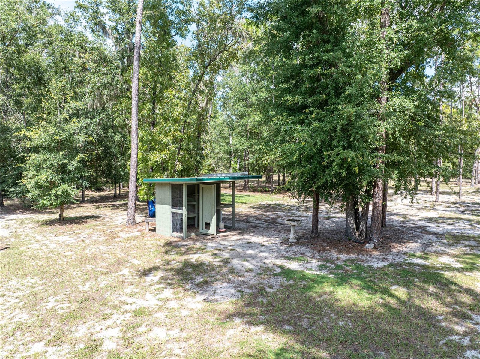 11160 NW 5TH AVE, BRANFORD, FL, 32008