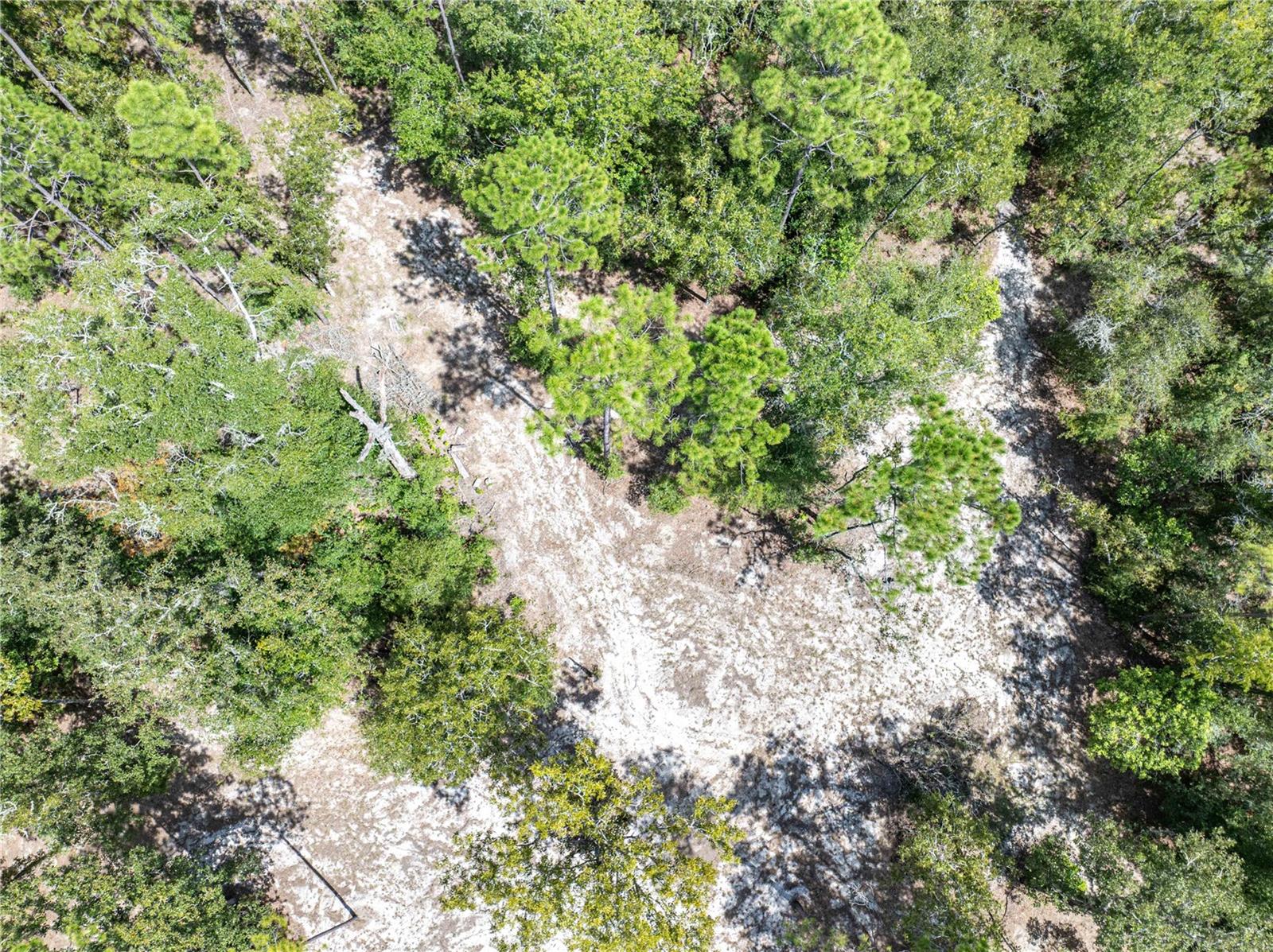 11160 NW 5TH AVE, BRANFORD, FL, 32008