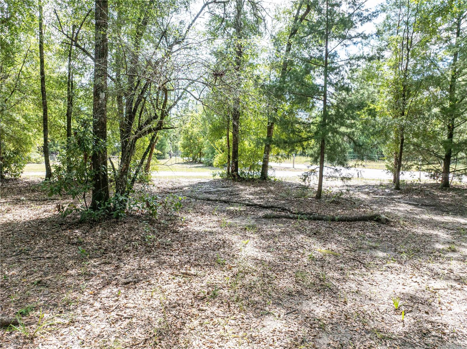 11160 NW 5TH AVE, BRANFORD, FL, 32008