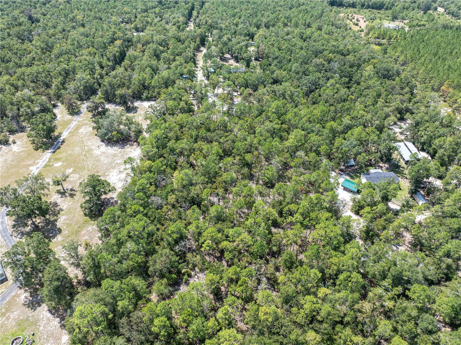 11160 NW 5TH AVE, BRANFORD, FL, 32008