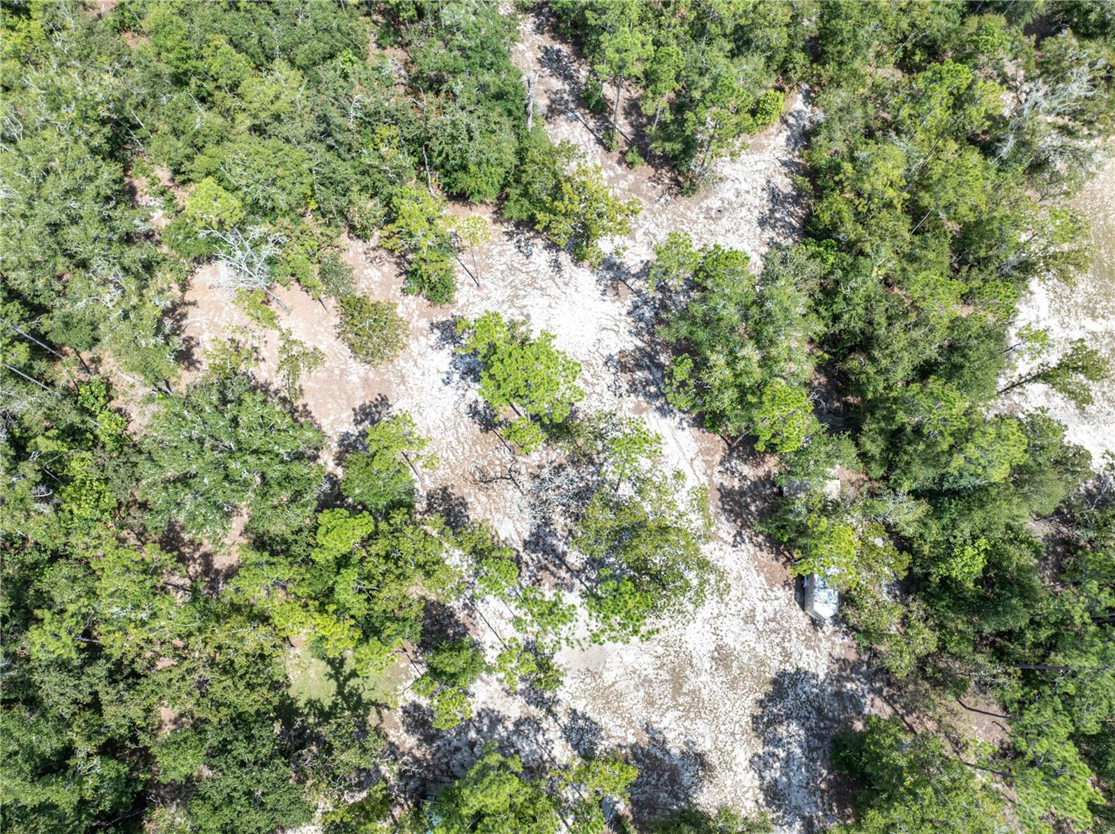 11160 NW 5TH AVE, BRANFORD, FL, 32008