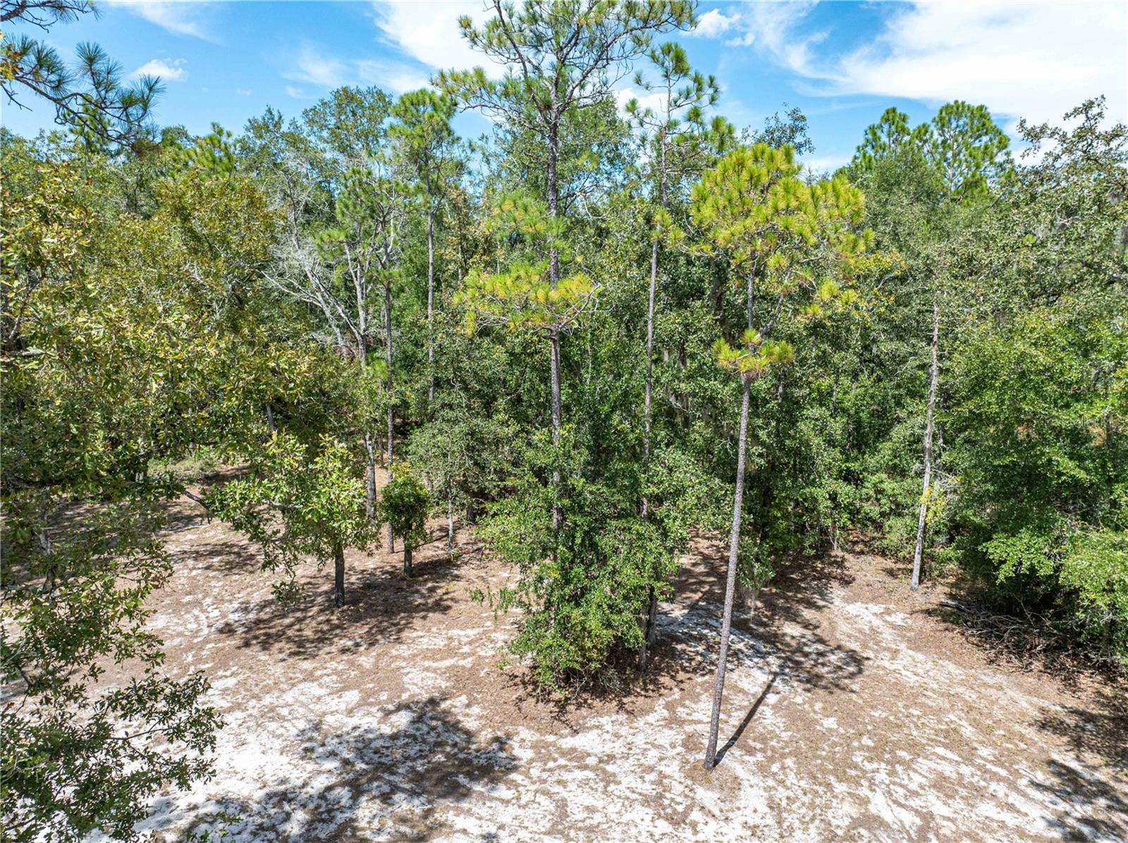 11160 NW 5TH AVE, BRANFORD, FL, 32008