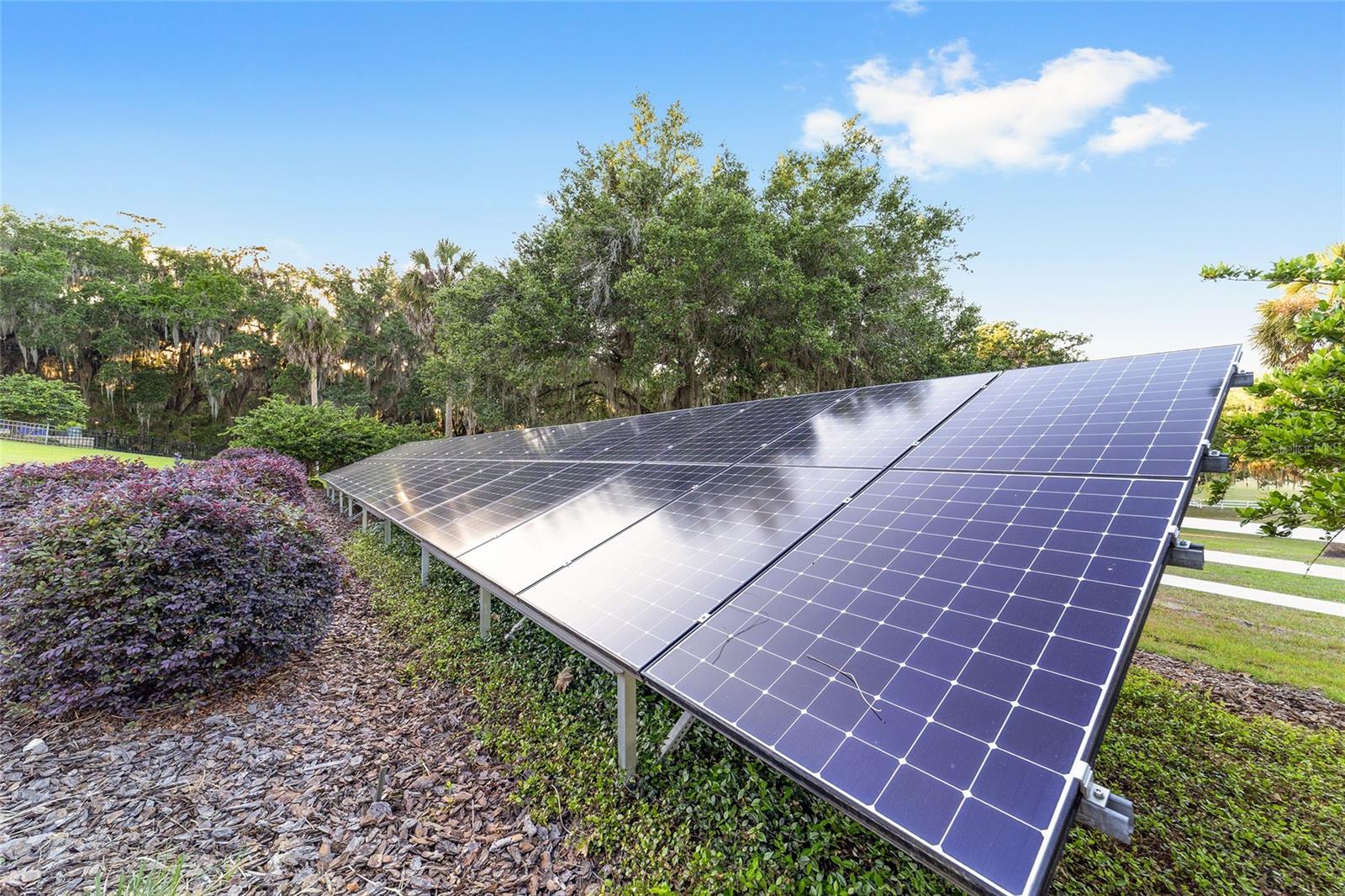 22620 HIGHWAY 441 N, MICANOPY, FL, 32667