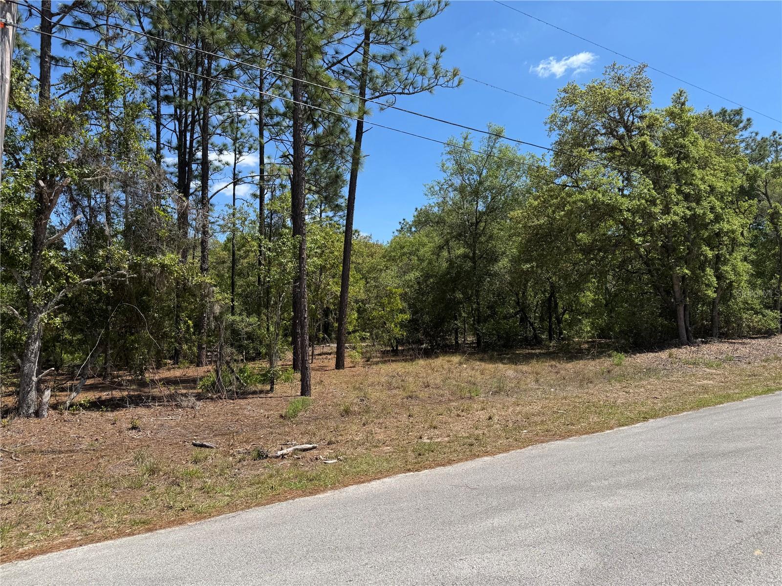 Lot 2 SW 59TH LN, DUNNELLON, FL, 34431