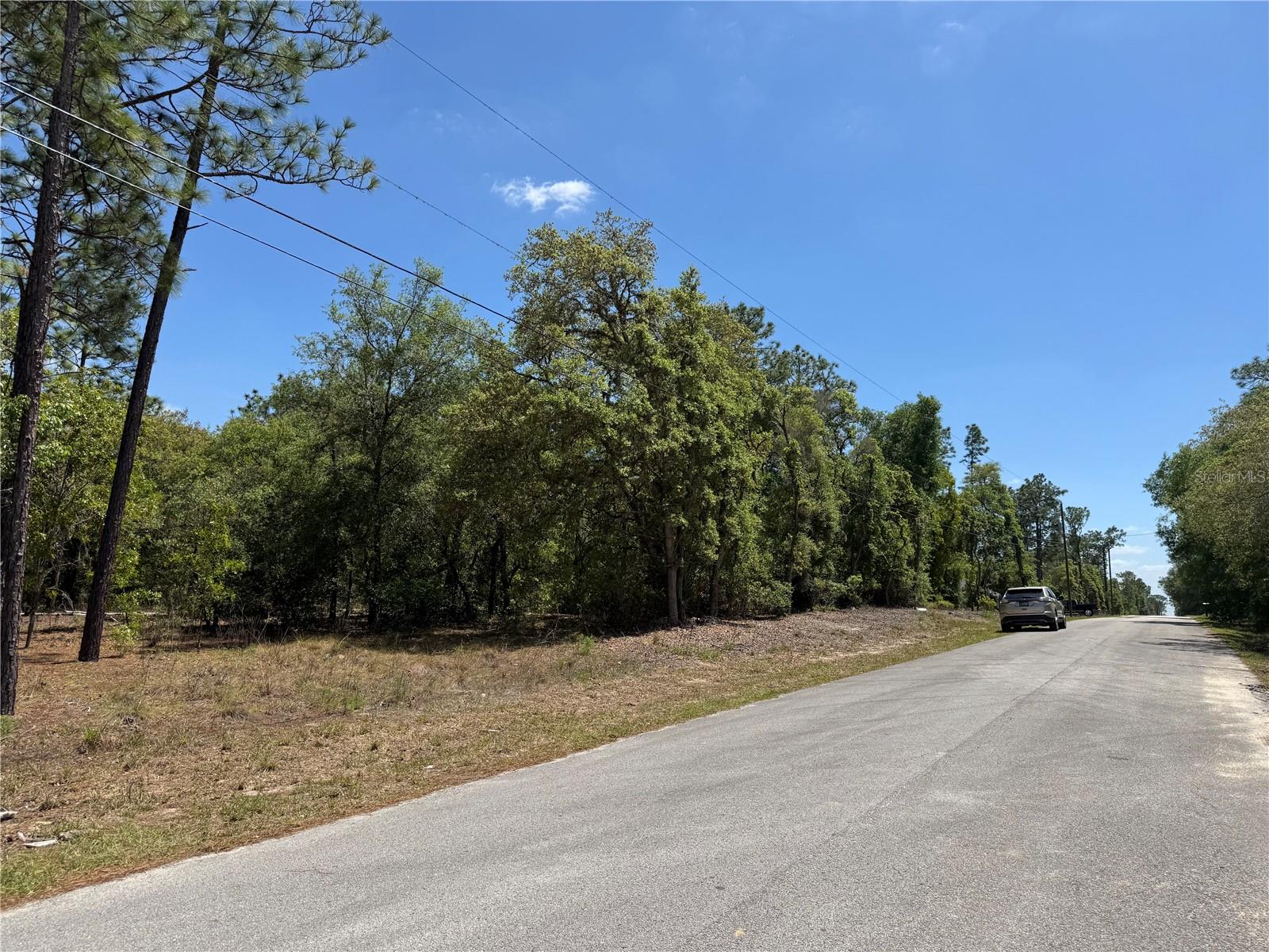 Lot 2 SW 59TH LN, DUNNELLON, FL, 34431